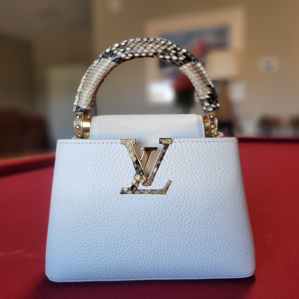 Louis Vuitton Mini Capucine with Exotic Touch